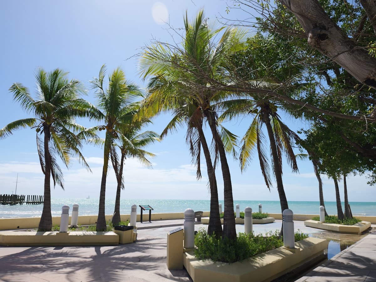 Outdoor waterfront dining patio with palm trees in South Florida
