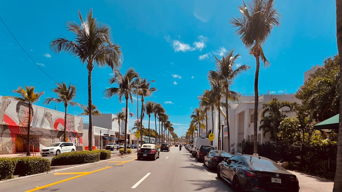 Palm-lined residential street in Pompano Beach