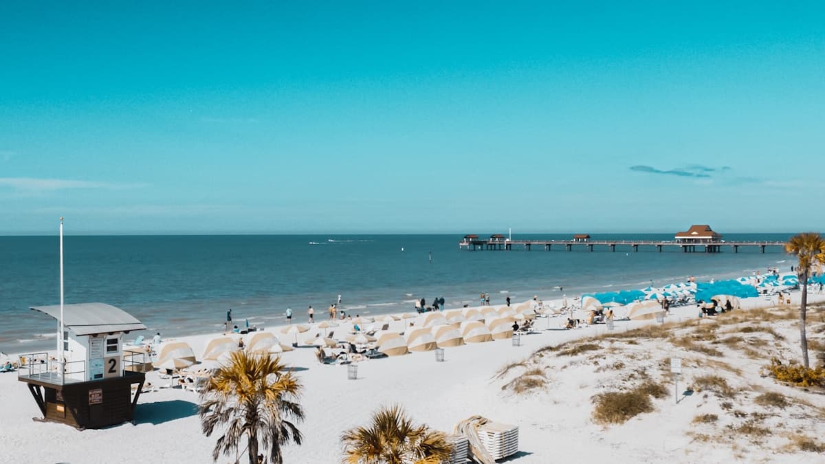 Pompano Beach pier and shoreline with palm trees and blue Atlantic water