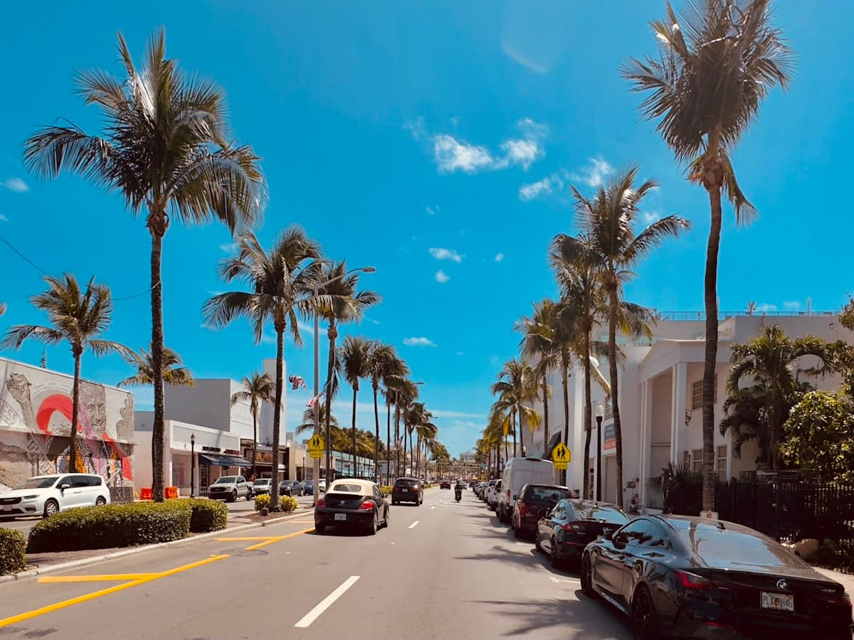 Palm-lined residential street in a South Florida neighborhood